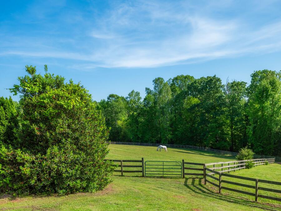 Paddocks