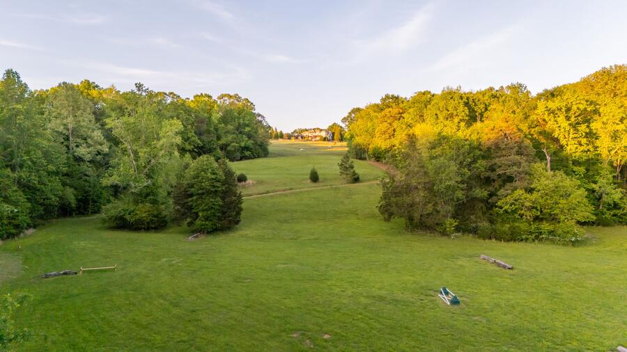 Open pasture