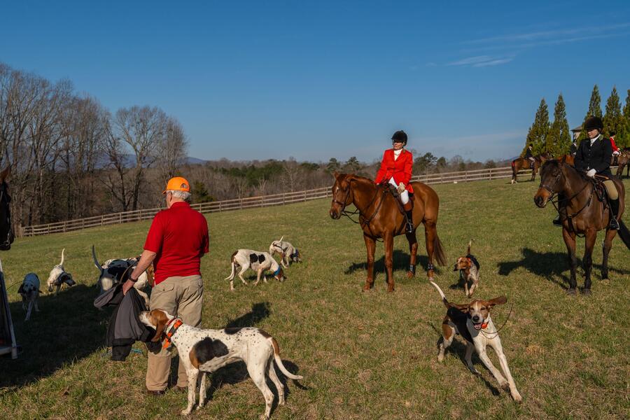 Hounds and the field before the hunt